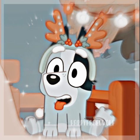 Christmas Cartoon Pfp, Bluey Pfp Aesthetic, Cartoon Christmas Pfp, Bluey Profile Photo, Bingo Pfp, Bluey Pfp Socks, Bluey Aesthetic Pfp, Socks Bluey Pfp, Bluey Bingo Aesthetic Pfp