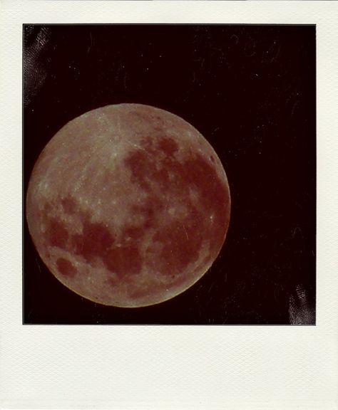 Full Moon Polaroid | me obsesiona esta wea | Gabo Cárcamo | Flickr Moon Polaroid, Polaroid Photography, Polaroid Wall, Photo Polaroid, Wallpaper Project, Old Cameras, George Carlin, Moon Pictures, Polaroid Pictures