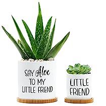 Small Ceramic Planter, Spring Funny, Ceramic Planter Pots, Ceramic Succulent, Planter Gift, Bamboo Tray, Aloe Vera Plant, Aloe Plant, Funny Pun