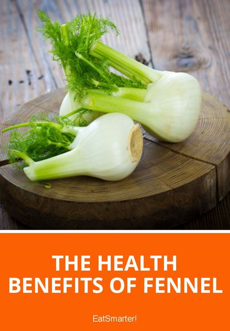 The Health Benefits of Fennel | eatsmarter.com Fennel Benefits Women, Fennel Health Benefits, Fennel Benefits, Benefits Of Fennel, Love Or Hate, Fennel, Healthy Body, Health Benefits, Healthy Eating