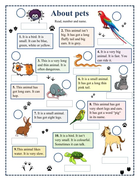 English Animals Worksheet, Pet Animals Worksheets For Kids, Animal Worksheets For Kids, Pets Activities For Kids, Pets Worksheet, Animals Worksheets For Kids, Year 3 English, Sentence Making, Picture Story For Kids