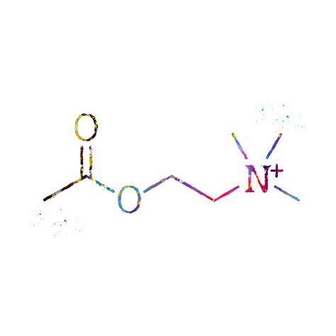 Check out this awesome 'Acetylcholine+molecule' design on @TeePublic! Acetylcholine Molecule, Molecule Design, Molecule Art, The Magicians, Tattoo Ideas, Shirt Designs, Tshirt Designs, T Shirts, Design