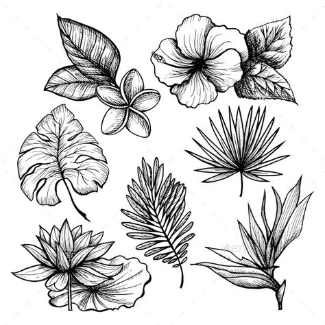 Tropical Leaves Set - Flowers & Plants Nature Tropisches Tattoo, Arte Doodle, Kunst Tattoos, Trendy Plants, Hawaiian Tattoo, Flower Drawing Design, Flower Sketches, Plant Drawing, Trendy Flowers