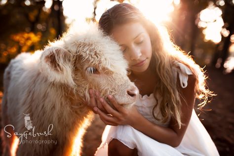 Highland Cow Senior Pictures, Highland Cow Mini Session, Highland Cow Photoshoot, Cow Photoshoot, Highland Cow Photography, Cow Pics, Highland Cow Pictures, Spring Pics, Farm Photoshoot