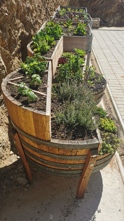 Wooden projects for the home Wine Barrel Repurpose, Diy Barrel Planter, Repurposed Barrels, Half Barrel Planter Ideas Flower Pots, Wine Barrel Planters With Lights, Wooden Barrel Ideas, Oak Barrel Planter Ideas, Wine Barrel Ring Planter, Half Wine Barrel Ideas Planters