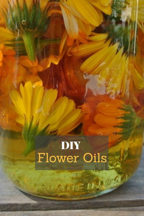 Diy Flower Oil, How To Make Sunflower Oil At Home, Preserve Flowers In Oil, How To Make Perfume From Flowers, Flowers In Baby Oil, Diy Sunflower Oil, Homemade Perfumes, Flower Infused Oil, Oils For Healing