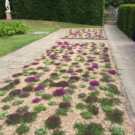 Board Landscape Architecture, Corner Landscaping, Sissinghurst Garden, Thyme Garden, Grass Alternative, Outdoor Landscape Design, Thyme Plant, Wallpaper Garden, Hydrangea Landscaping