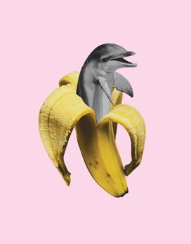 Chimera (by Aecho), tshirt print                                                                                                                                                                                 Plus Infrared Photography, Surreal Collage, Banana Peel, Soyut Sanat Tabloları, Collage Poster, Arte Inspo, A Banana, Photoshop Elements, Surreal Art