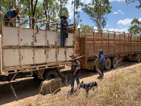 Cattle Station, Cattle Trailers, Horse Riding Aesthetic, Horse Barn Ideas Stables, Broken Record, Country Things, Outback Australia, Country Lifestyle, Country Names