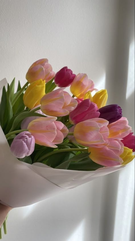 Tulipanes Aesthetic, Pretty Tulips, Tulips Bouquet, Buy Me Flowers, Tessa Bailey, Colorful Tulips, Nothing But Flowers, Flower Therapy, Beautiful Bouquet Of Flowers