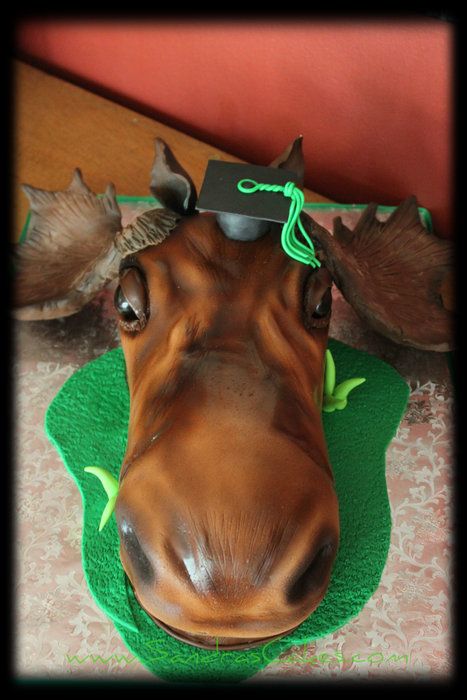 Moose Graduation Cake - by Sandrascakes @ CakesDecor.com - cake decorating website Moose Cake, Cakes Graduation, Cute Moose, Animal Cakes, Graduation Cake, Graduation Celebration, Mousse Cake, Graduation Cakes, Christmas Vacation