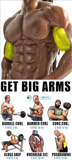 Big Arm Workout, Get Bigger Arms, Arm Training, Glacier Express, Big Arms, Bodybuilding Program, Arm Work, Bar Stand, Bigger Arms