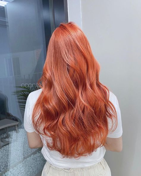 Ginger Peach Hair, Pastel Orange Hair, Apricot Hair, Shades Of Red Hair, Hair Color Orange, Beige Hair, Creative Hair Color, Peach Hair, Kpop Hair