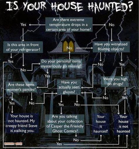 How to tell if your house is haunted! Paranormal Aesthetic, Ghost Comic, Paranormal Research, Halloween Memes, Creepy Facts, Real Ghosts, How High Are You, Ghost Adventures, Ghost Photos