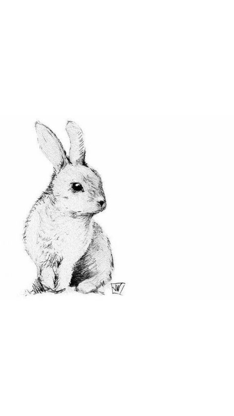 Sitting Rabbit Drawing, Black And White Bunny Drawing, Black And White Rabbit Tattoo, Bunny Sketch Tattoo, Black And White Bunny Tattoo, Dutch Rabbit Tattoo, Fine Line Rabbit Tattoo, White Bunny Drawing, White Rabbit Drawing