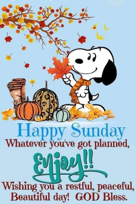 Monthly Greetings, Snoopy Thanksgiving, Happy Sunday Images, Happy Sunday Morning, Sunday Morning Quotes, Good Morning Snoopy, Sunday Greetings, Good Sunday Morning, Good Morning Happy Saturday