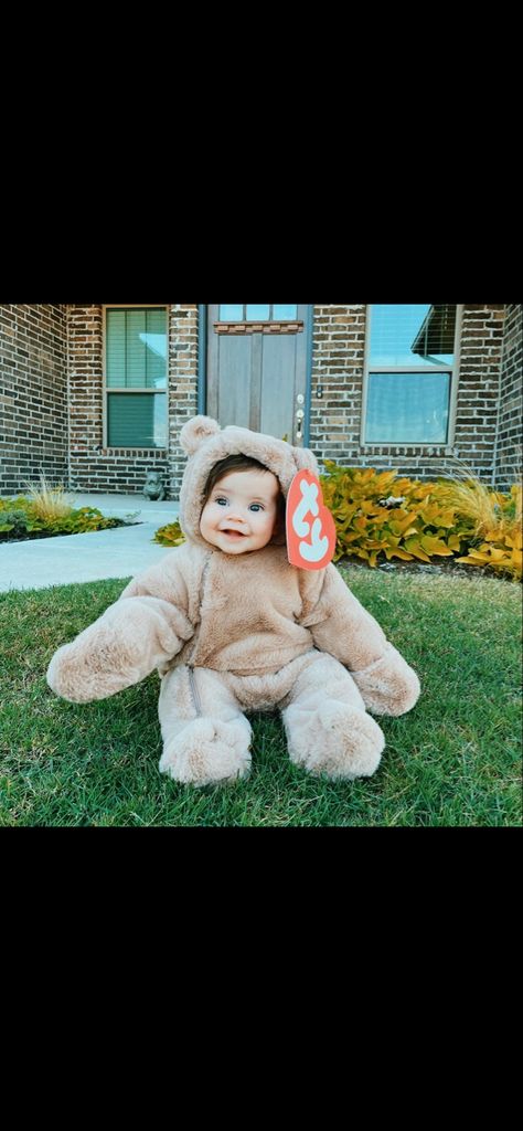 Ty Teddy Bear Costume, Jellycat Costume, Teddy Bear Costume Diy, Teddy Bear Halloween Costume, Bear Photoshoot, Baby Bear Costume, Bear Halloween Costume, Teddy Bear Costume, Ty Stuffed Animals