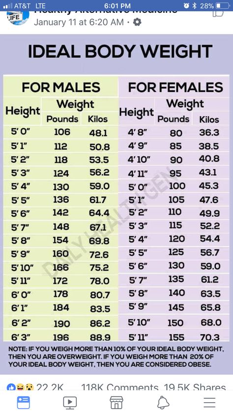 A1c Chart, Bmi Chart, Weight Charts For Women, Weight Chart, Weight Charts, Blood Pressure Chart, Ideal Body Weight, Normal Weight, Medical School Essentials