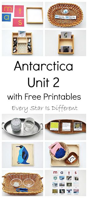 Montessori-inspired Antarctica learning activities and free printables for kids. Antarctica Activities For Kids, Antarctica Activities, Montessori Culture, Continent Boxes, Montessori Geography, Montessori Printables, Winter Unit, Montessori Elementary, Montessori Lessons