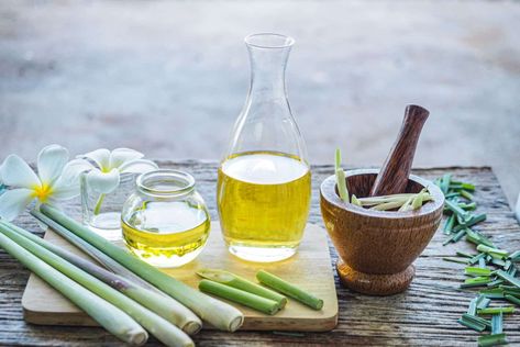 11 Compelling Reasons To Grow Lemongrass In Your Garden Grow Lemongrass, Lemongrass Plant, Breakfast Cocktails, Oil Drip, Cooking Herbs, How To Make Oil, Food Substitutions, Lemongrass Oil, Natural Insect Repellant