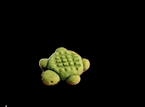 turtle cookie :D Turtle Widget, Turtle Pfp Aesthetic, Turtle Pfp, Turtle Jellycat, Jelly Cat Turtle, Turtle Icon, Turtle Png, Turtle Cheesecake, Turtle Cookies