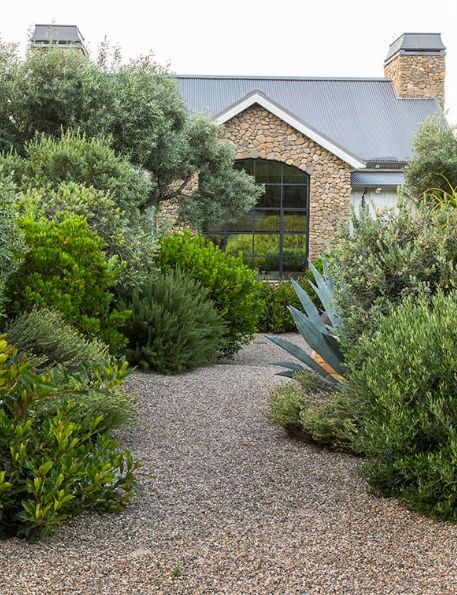 Dred Scott, Scott Shrader, Lomandra Confertifolia, Scott Shrader Landscape, Scott Naismith Abstract Landscape, L'wren Scott, Sustainable Landscaping, Patio Projects, Dry Garden