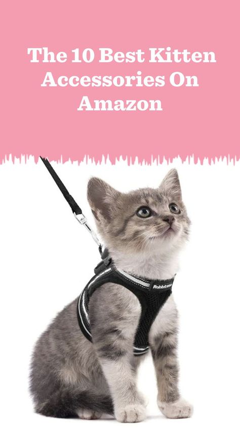 From kitten toys to ID tags, these are the cutest kitten accessories on Amazon that are also super useful for new kitten parents. Kitten Items, Kitty Accessories, Kitten Ideas, Kitten Necessities, Kitten Stuff, Kitten Must Haves, Cats Toys, New Kitten, New Kitten Checklist