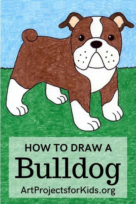 Learn how to draw a Bulldog with this fun and easy art project for kids. Simple step by step PDF tutorial available. #howtodraw #artprojectsforkids #bulldog Draw A Bulldog, Art Syllabus, Bulldog Drawing, Learning Art, Easy Art For Kids, Art Projects For Kids, Body Base Drawing, Bulldog Art, 강아지 그림