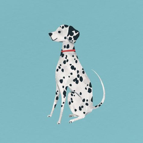 Dalmatian Illustration, Golden Retriever Drawing, Different Breeds Of Cats, Dog Watercolor Painting, Corgi Drawing, Dog Background, Fall Drawings, Puppy Portraits, Free Puppies