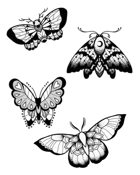 Butterfly Moth Tattoo, Moth Tattoo Meaning, Moth Tattoo Design, Moth Tattoo, Tattoo Inspo, Butterfly Art, Butterfly Wings, Butterfly Tattoo, Art Sketches