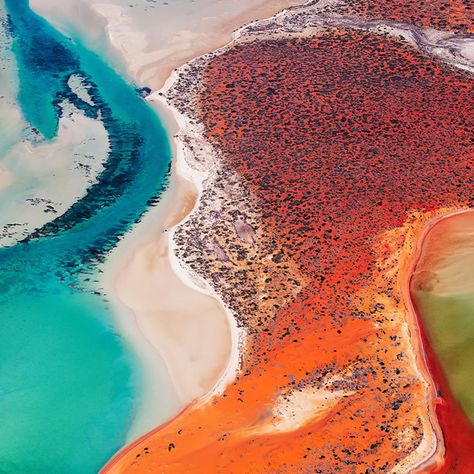 Shark Bay, Western Australia: Beautiful Landscapes By Jerome Berbigier Nature Perspective, Earth From Above, Australia Landscape, Aerial Landscape, Australian Landscape, River Delta, Aerial Images, Aerial Photos, Aerial Photograph