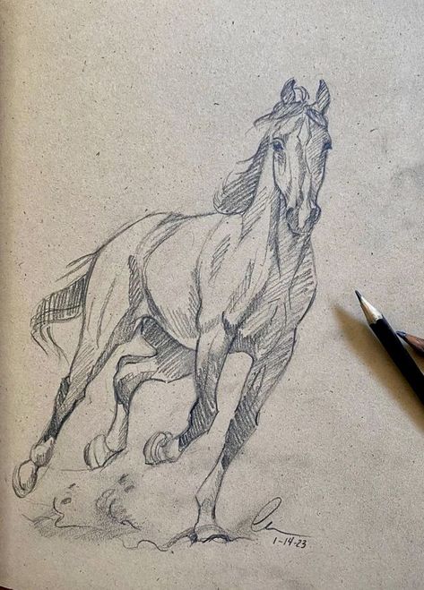 Horse Art Drawing, Horse Sketch, Drawing Faces, Horse Drawing, Horse Drawings, Art Drawings Sketches Creative, Animal Sketches, Arte Animal, A Pencil