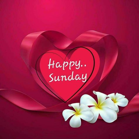 Sunday Love Quotes, Happy Sunday Wallpaper, Happy Sunday Love, Best Birthday Wishes Quotes, Happy Sunday Images, Weekend Greetings, Good Day Wishes, Happy Sunday Morning, Sunday Greetings