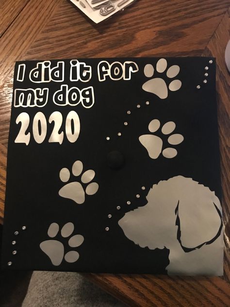 I Did It For My Dog Graduation Cap, Animal Science Graduation Cap Ideas, Graduation Cap Designs Dog, Dog Graduation Cap Ideas, Highschool Graduation Cap, Dog Graduation Cap, Masters Graduation Cap, Mba Graduation Party, Science Graduation Cap