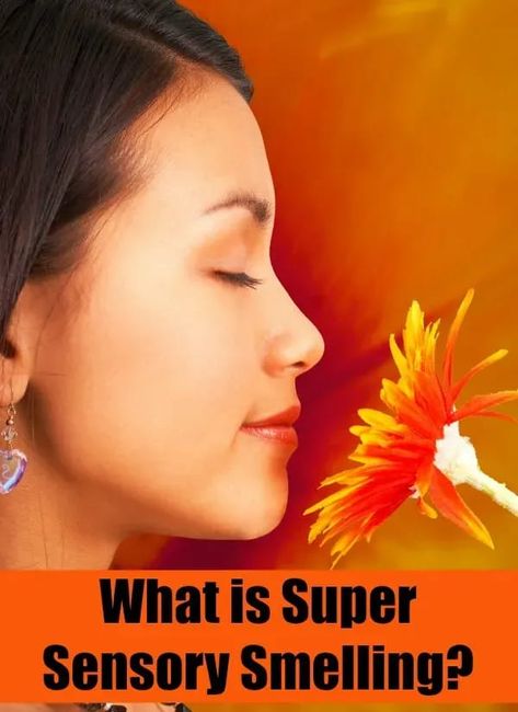 what is super sensory smelling? - sensory processing disorder Processing Disorder, Sensory Integration, Sensory Issues, Sensory Processing Disorder, Sensory Processing, Special Needs Kids, Special Needs, My Son, A Child