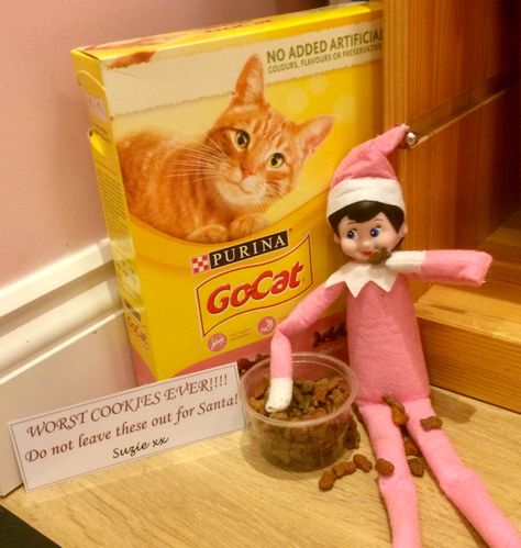 Elf On The Shelf Cat Ideas, Elf Biscuits, Elf On The Shelf Eating, Cat Biscuits, Elf 2023, Elf Halloween, Elf 2024, Cottage Cat, Elf Shenanigans