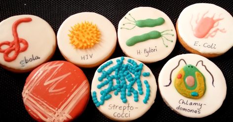 Cookiefied microbes as farewell gifts for my son's mentors on his last day of internship as Research Assistant with a university hospital ... Microbiology Cookies, Microbiology Cake, Nursing Cookies, Science Cookies, Science Snacks, Nerd Party, Lab Week, Science Week, Science Birthday