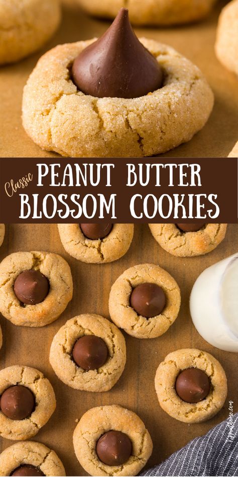 Snickerdoodle Kiss Cookies, Hersey Kiss Blossoms, Hersey Kiss Cookies, Peanut Butter Blossoms Recipe, Peanut Butter Blossom, Peanut Blossoms, Butter Blossoms, Sugar Cookie Cakes, Peanut Butter Blossom Cookies