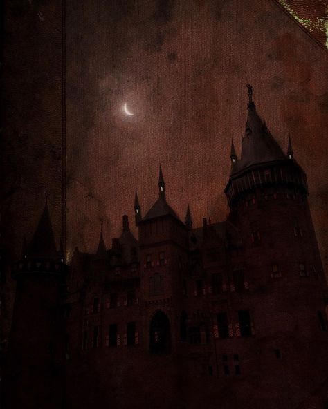 ‘When night comes’ ☾     © Nona Limmen   Webshop /  Instagram When Night Comes, Vamp Wallpaper, Nona Limmen, Vampire Core, Darkest Academia, Victorian Vampire, Vampire Aesthetic, Poison Apple, Catty Noir