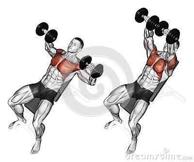 Bench Press Muscles Worked, Steps Illustration, Hiit Workout Videos, Best Chest Workout, Dumbell Workout, Body Coach, Body Training, Chest Workouts, Chest Workout