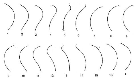 Mermaid Animation Frame By Frame, Tail Wag Animation Tutorial, Seaweed Animation, Wave Principle Animation, Tail Animation Reference, Fish Movement Animation, Tail Wagging Animation, Wave Animation Tutorial, Tail Animation Cycle