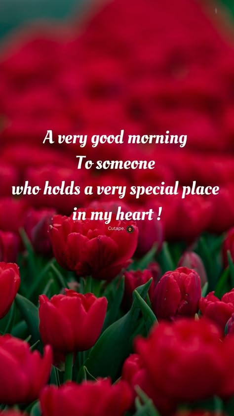 Good Morning My Sweetheart, Morning Babe, Happy Good Morning Images, Good Morning Massage, Good Morning Msg, Sweetheart Quotes, Morning Sweetheart, Good Morning Greeting Cards, Good Morning Flowers Rose