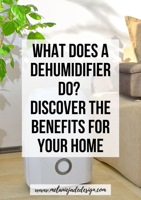 Having a dehumidifier at home can be incredibly beneficial to ensure a comfortable, healthy living space with humidity levels at an ideal level. But, what does a dehumidifier do? Humidifier Vs Dehumidifier, Natural Dehumidifier, Humidistats, Dehumidifier Accessories, Jade Design, Room Cooler, Make A Room, Cooling Racks, Cool Room