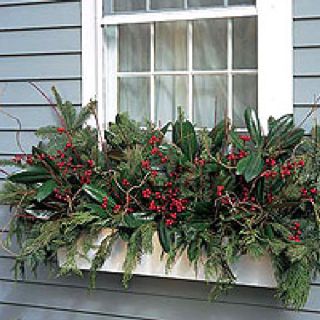 Holiday flower box Christmas Window Boxes, Winter Window Boxes, Outdoor Christmas Planters, Winter Planter, Window Box Flowers, Winter Window, Christmas Planters, Holiday Flower, Christmas Outdoor