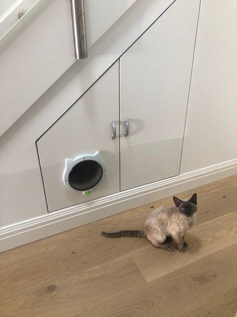 Indoor Cat Feeding Station, Cat Cupboard Under Stairs, Cat Litter Box Under Stairs, Under Stair Cat Litter, Cat Area Under Stairs, Understairs Cat Litter Room, Under Stairs Litter Box Ideas, Under Stairs Cat Litter, Multi Cat Feeding Station