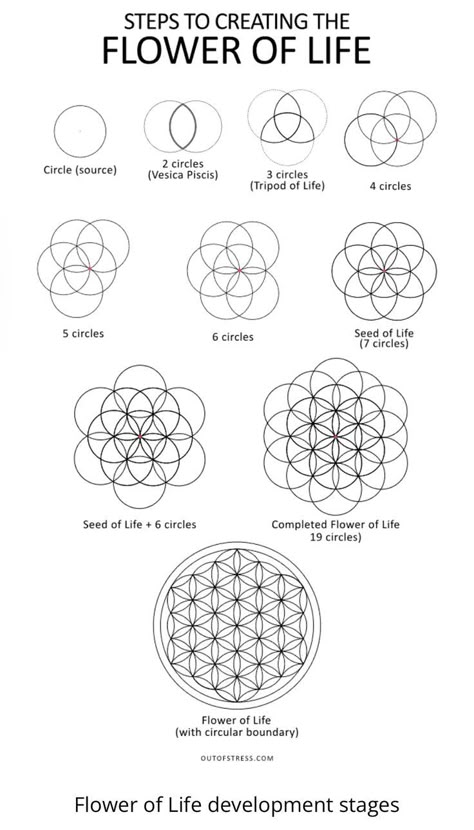 How To Draw Flower Of Life, Sacred Geometry Tattoo Flower Of Life, How To Draw Sacred Geometry, Flower Of Life Geometry, Sacred Geometry Art Mandalas, Sacred Geometry Meanings, Sacred Geometry Flower Of Life, Flower Of Life Patern, Flower Of Life Tattoo