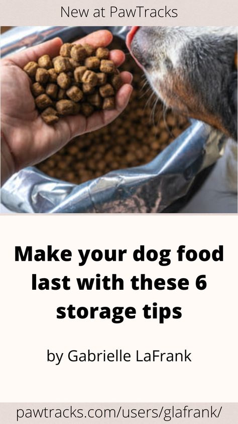 Learning how to store dog food will save you time and money over the years, and you’re on the right track to figuring it all out for yourself. This one goes out to all the pet parents who’ve ever Googled “storing dog food tips.” Make your dog food last with these 6 storage tips How To Store Dog Food, Storing Dog Food, Pet Food Storage Ideas, Dog Foods, Frozen Dog, Canned Dog Food, Pet Food Storage, Baby Snacks, Storage Tips