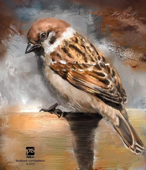 Sparrow Art, Arte Doodle, Diamond Paint, Cross Paintings, Bird Drawings, Cool Paintings, Wildlife Art, 5d Diamond Painting, Birds Painting