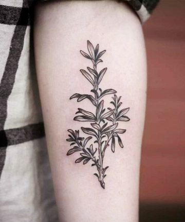 Green and Gorgeous Rosemary Tattoo, Flower Tattoo Meaning, Wheat Tattoo, Rosemary Flower, Flower Tattoo Meanings, Plant Tattoo, Make Tattoo, Botanical Tattoo, Tattoo Meaning