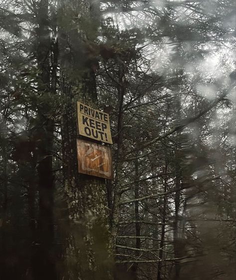 Danger Signs Aesthetic, Pre Apocalypse Aesthetic, Scavenging Aesthetic, Doomsday Prepper Aesthetic, Keep Out Sign Aesthetic, Forest Apocalypse, Forest Cryptid Aesthetic, Sci Fi Horror Aesthetic, Danger Sign Aesthetic